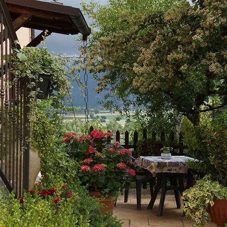 Agriturismo L'Ulivo In Fiore سبوليتو المظهر الخارجي الصورة