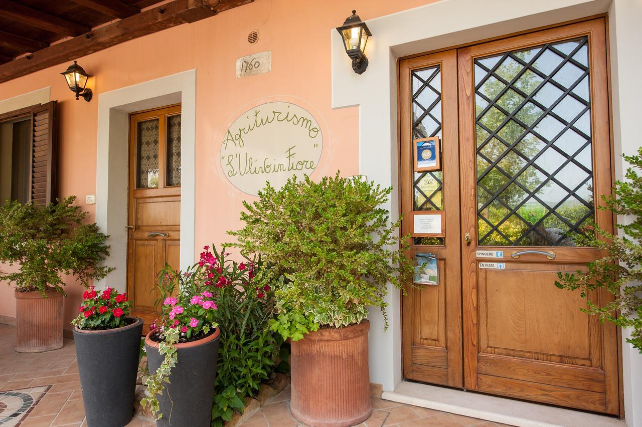 Agriturismo L'Ulivo In Fiore سبوليتو المظهر الخارجي الصورة